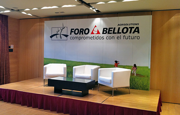 stand ecológico 3